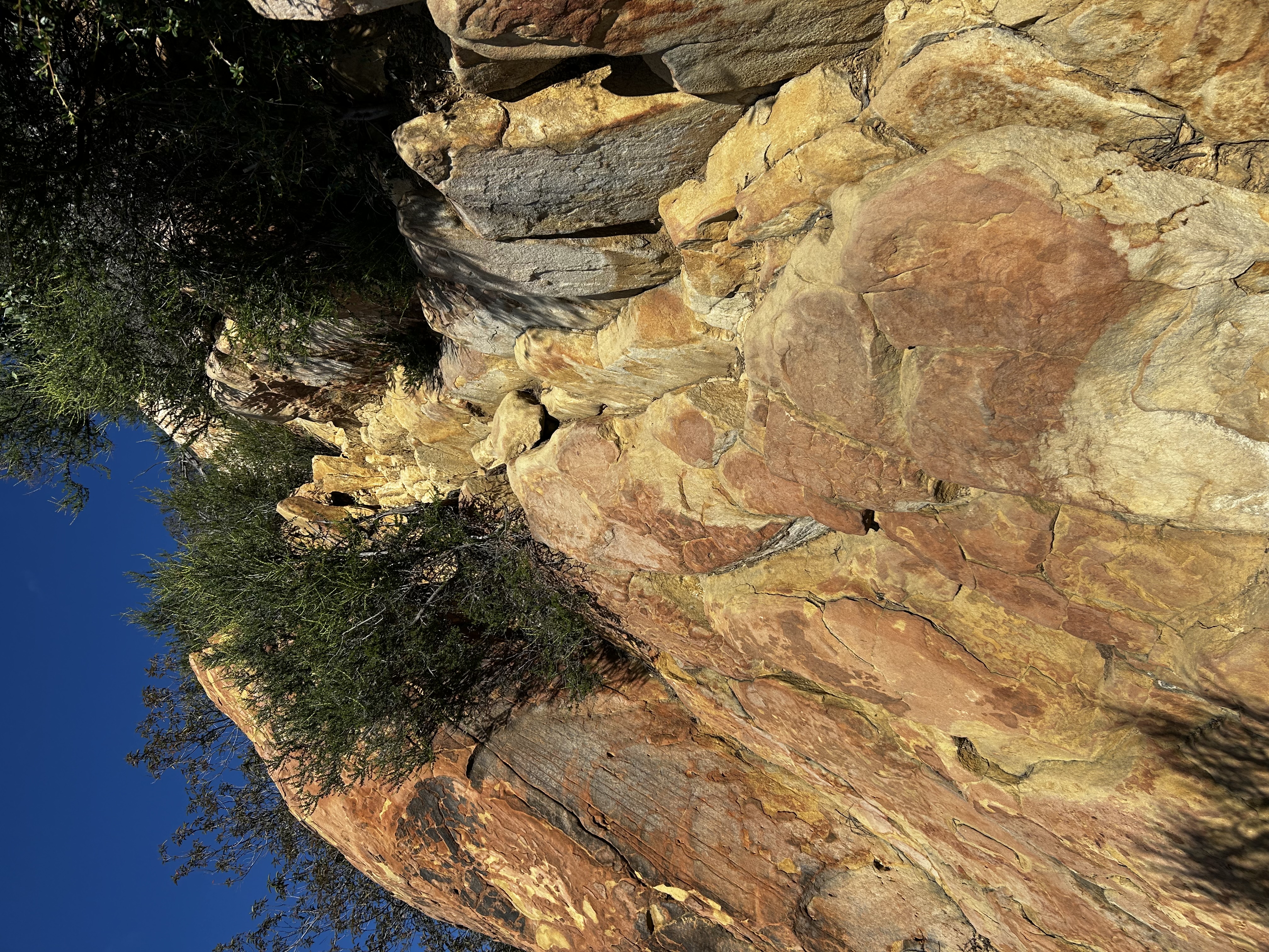 Do you think I am some sort of mountain goat or something?