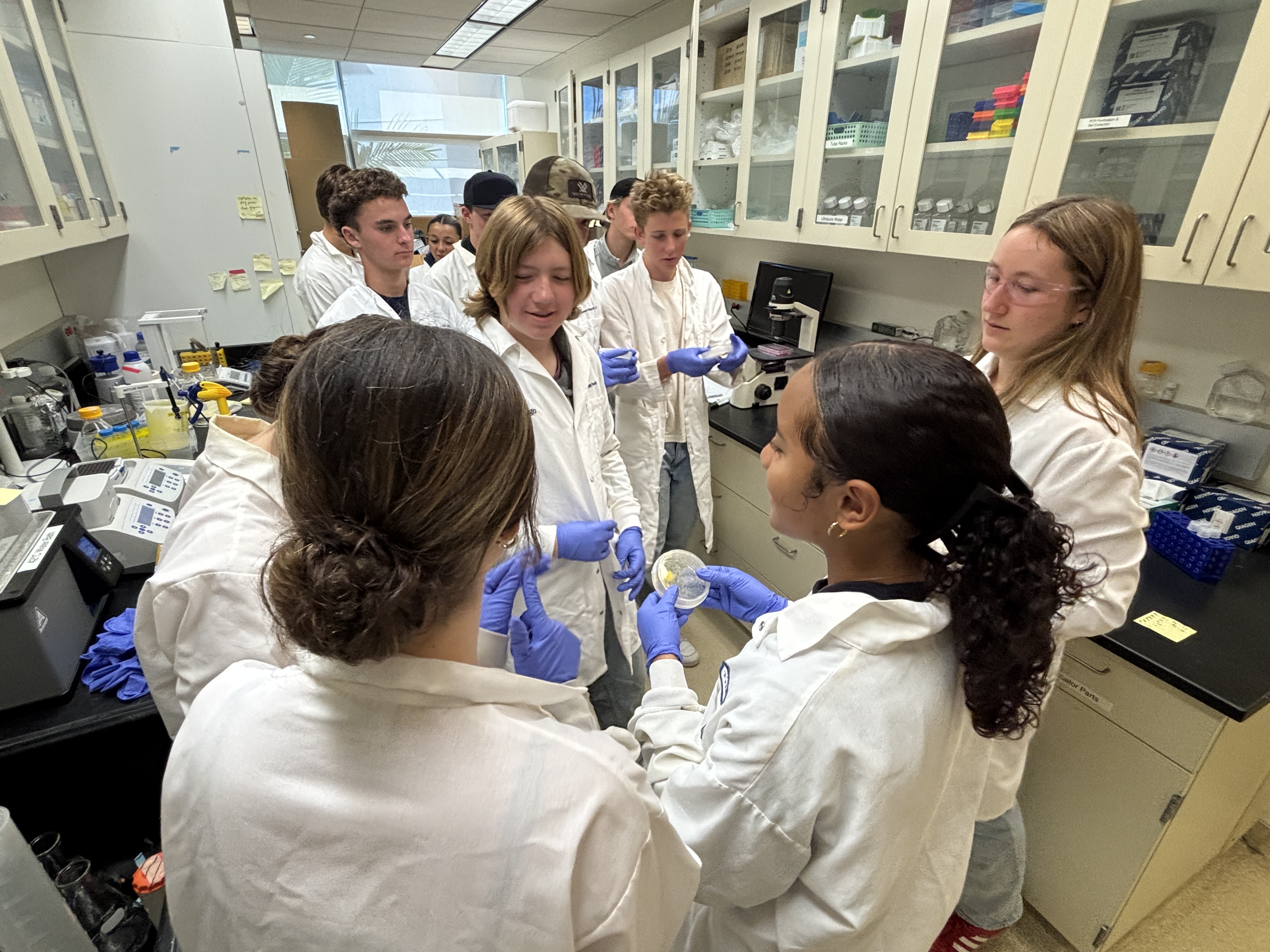 Laura from the Mali Lab explains her research