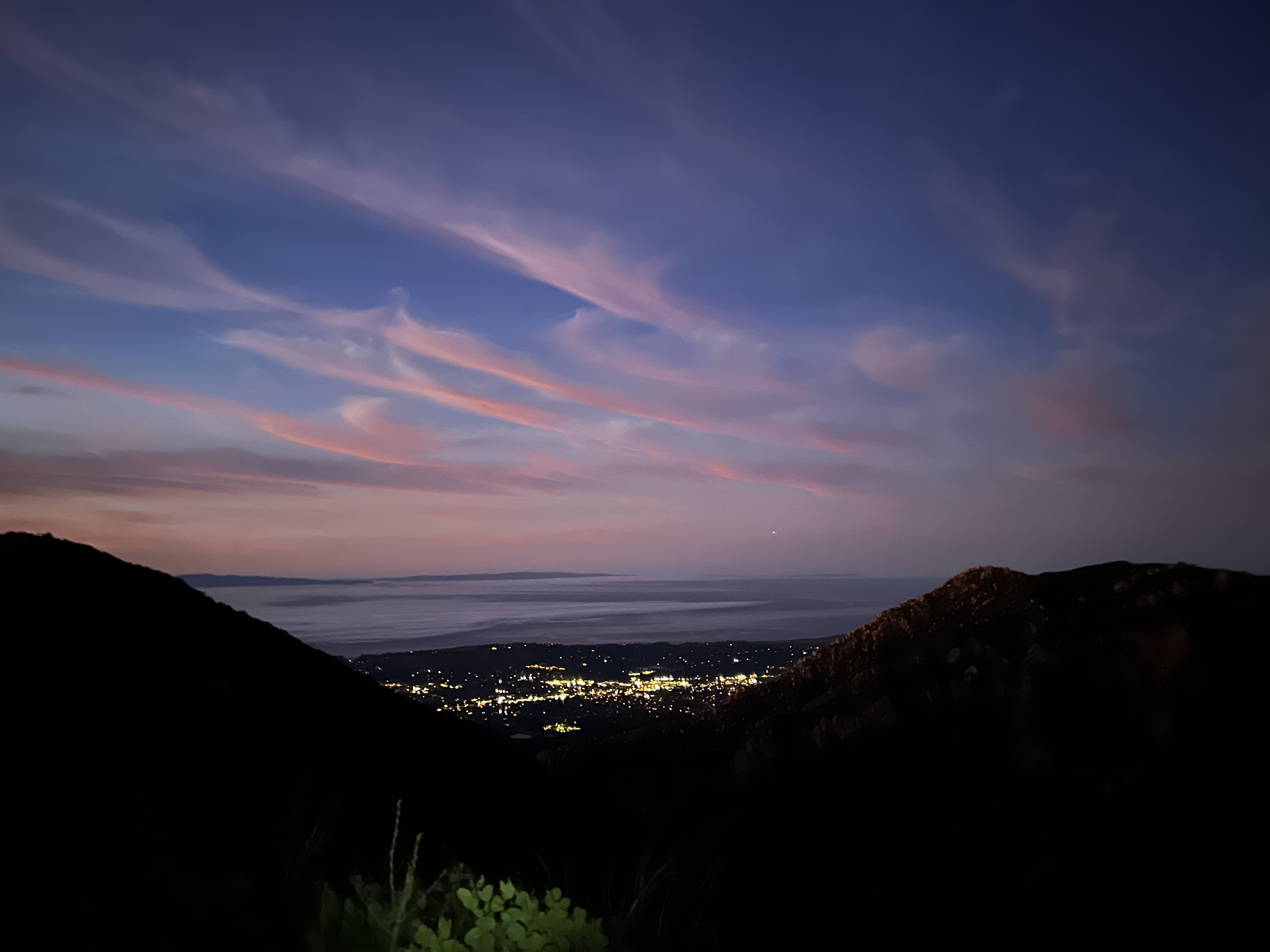 Cotton candy skies at sunrise